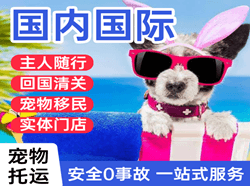 曹家堡空运代理国际宠物托运 【国